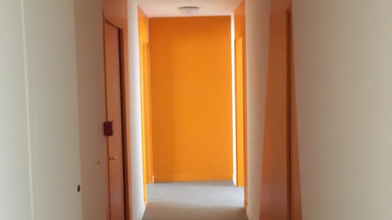 3a502b_cdb2f8df66cf4374a9cb9d0dda7bb453~mv2_d_3024_4032_s_4_2